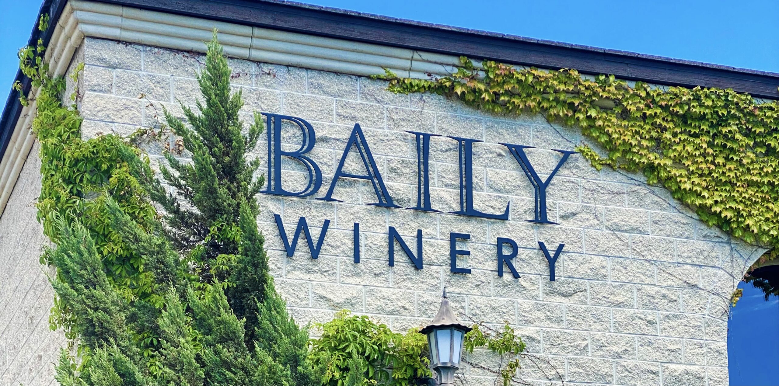 Baily Winery featured image